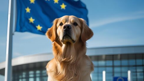 EU takes step forward on animal welfare standards: What the new proposal means