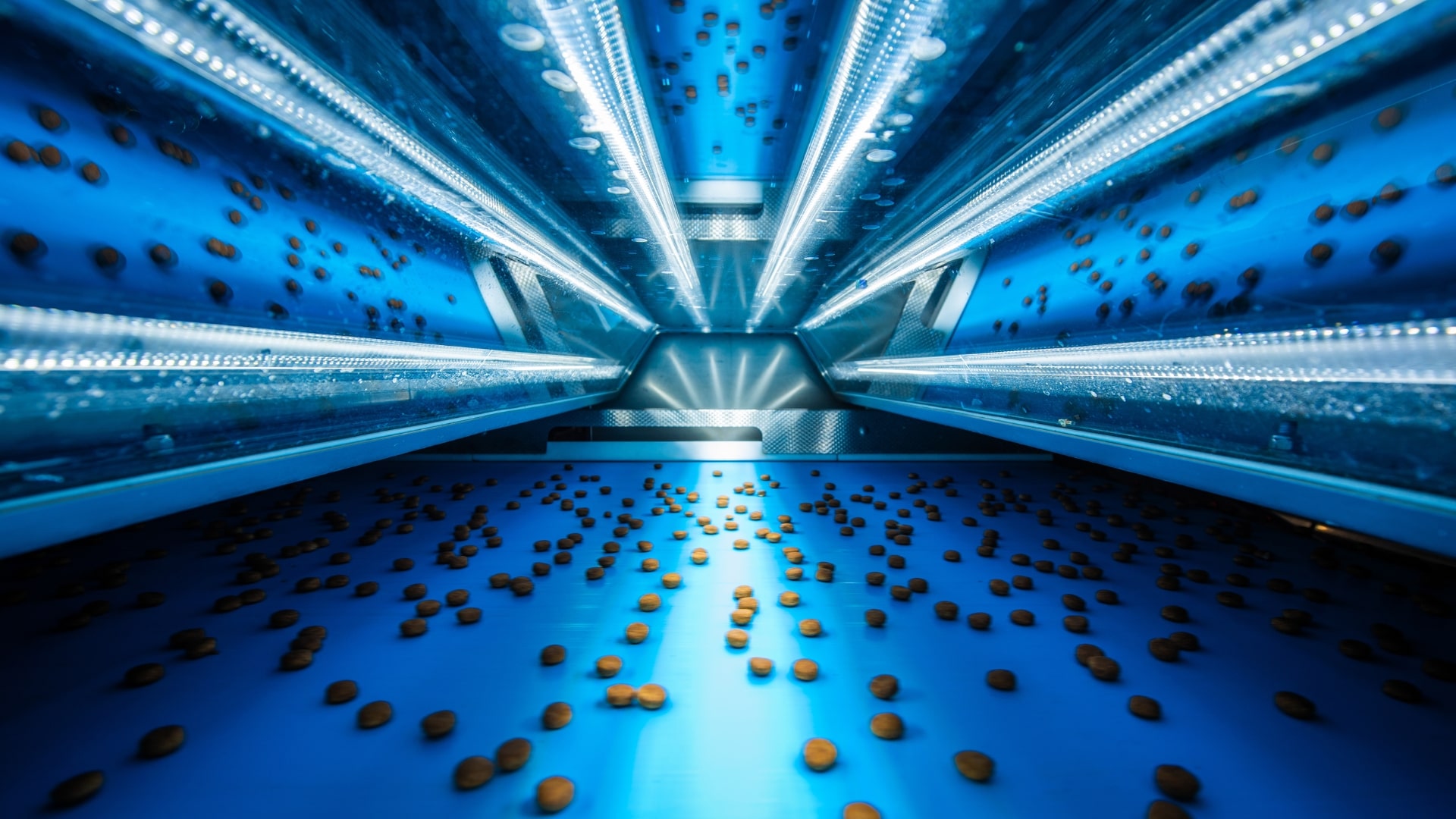 How one machine solves pet food sorting for manufacturers