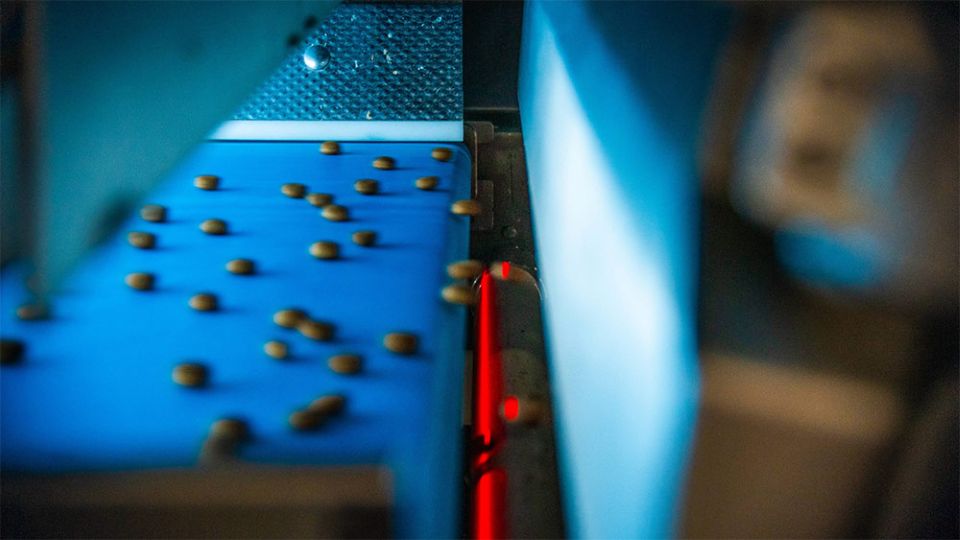 GlobalPETS | How one machine solves pet food sorting for manufacturers Optimum Sorting product preview