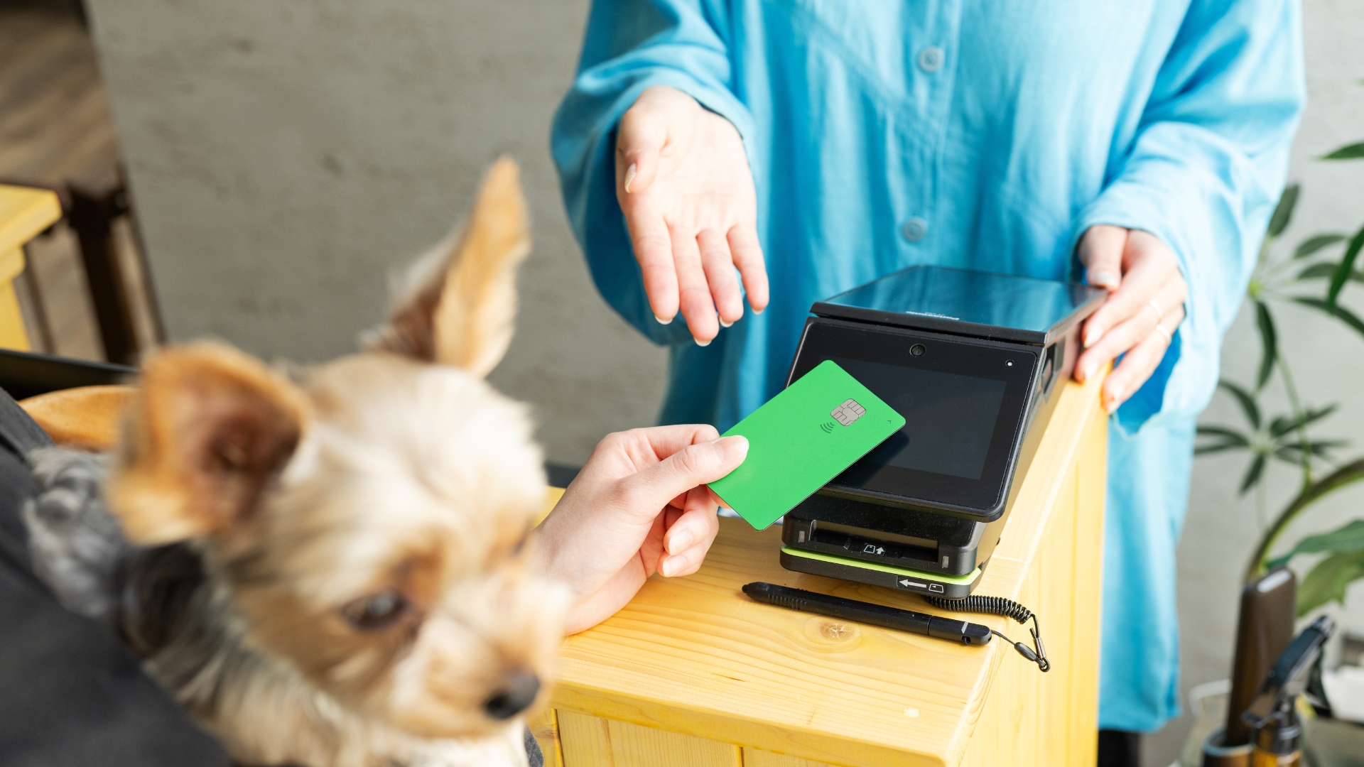 GlobalPETS | Spending under pressure: US pet parents trade down on food and vet visits Spending under pressure: US pet parents trade down on food and vet visits