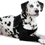 GlobalPETS | Pet industry directory Recovery Sleeve® Dog