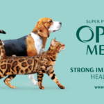 GlobalPETS | Pet industry directory Optimeal